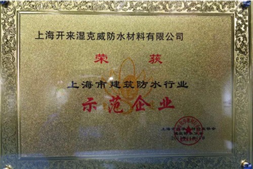 诚实守信 务实创新 开来湿克威荣获“示范企业”称号